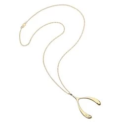 Z - Lucky Gold Wishbone Pendant -Fashion Comprehensive Discount Store 12 9e71db38 9bc9 4394 8899 e164162669a1