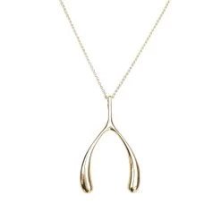 Z - Lucky Gold Wishbone Pendant